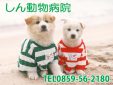 はあとりぃはうす／仔犬直売店