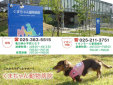 くまちゃん動物病院